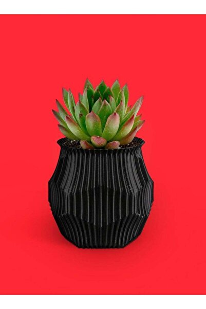 3D Brothers أصيص زهور سداسي الشكل - أصيص زهور سداسي الشكل أنيق للمساحات العصرية