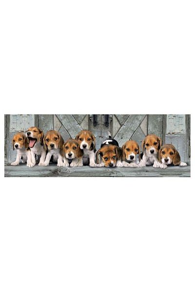 CLEMENTONI - 1000 Piece Hq Collection Panorama Adult Puzzle - Beagles