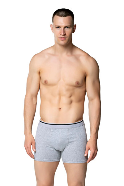 DONLİZZA Mother of Pearl Star Men's Lycra Boxers Gray