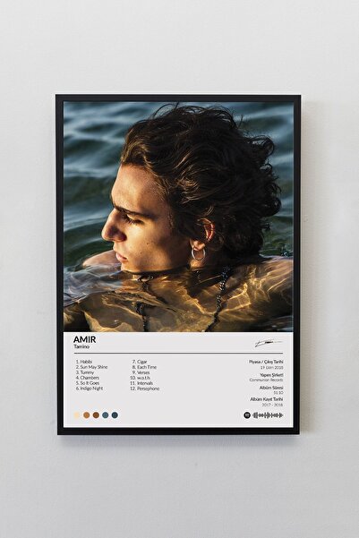 Sticksy Tamino Amir Albümü Çerçevesiz Albüm Tasarımlı Spotify Poster