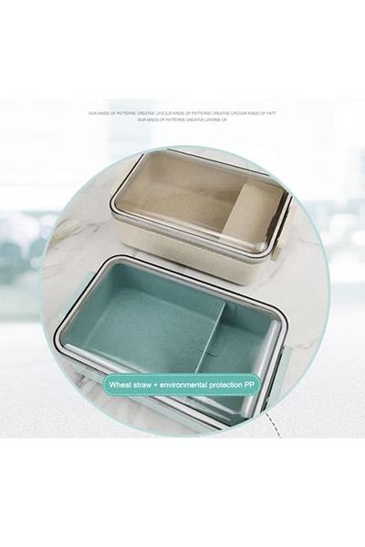 COOYA Lunch Box, Food Grade Material, 2 Compartment Design, Lunch Box for Travel, Work, School (Blue)