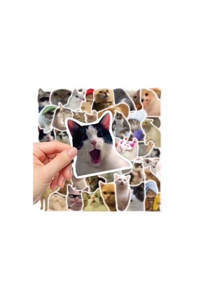 Major Selection Crazy Cats Macbook Notebook Tabletă Telefon Agenda Laptop Notebook Set de autocolante