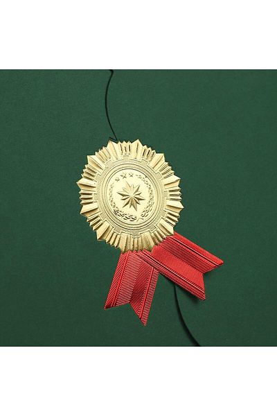 erorex A4 Certificate Holder Graduation Diploma Cover Degree Certificate Holder Trifold Document Covers