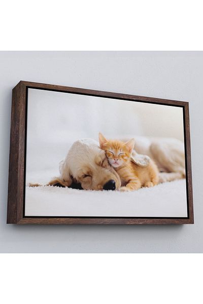 Harita Sepeti Pictură decorativă pe pânză pentru cățeluș dormit cu câine auriu cu cadru alb
