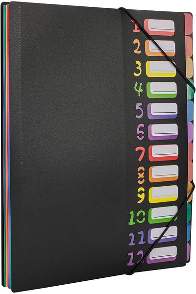 erorex Expanding File Folder A4 Letter Size Holds 240 Sheets Plastic Rainbow Lined Accordian File
