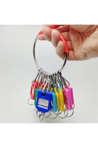 erorex Portable Metal Ring Key Organizer With 16 Spring Hooks And Key Tags With Ring And Label Window