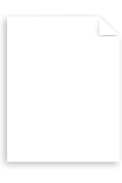 erorex Premium Cardstock 8.5 Inch X 11 Inch 65 Lb 176 Gsm Bright White 100 Sheets 91901