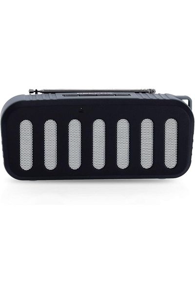 erorex مكبر صوت احترافي محمول وقابل لإعادة الشحن Gms11171 مزود ببلوتوث USB وبطاقة Tf وFm TWS وميكروفون