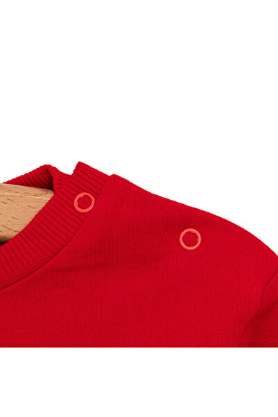 ebebek Hello Baby HelloBaby Kız Bebek Sweatshirt Şardonlu Aslan Desenli Bisiklet Yaka Uzun Kol Kırmızı