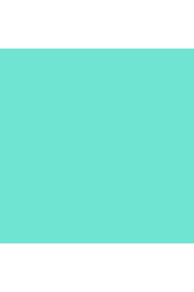 erorex Smart Vinyl Permanent 1 Sheet 33Cm X 0.9M Mint Green 3Ft