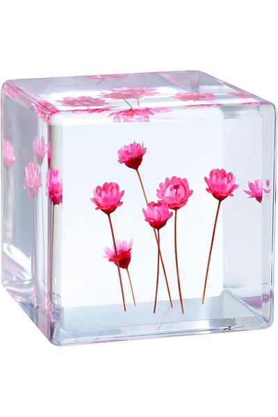 erorex Acrylic Resin Cube Paperweight With Preserved Flower Eternal Flower Starflower Inside 4Cm Cube