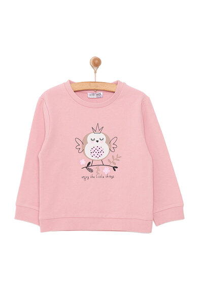 ebebek Hello Baby HelloBaby Kız Bebek Sweatshirt Şardonlu Bisiklet Yaka Uzun ...