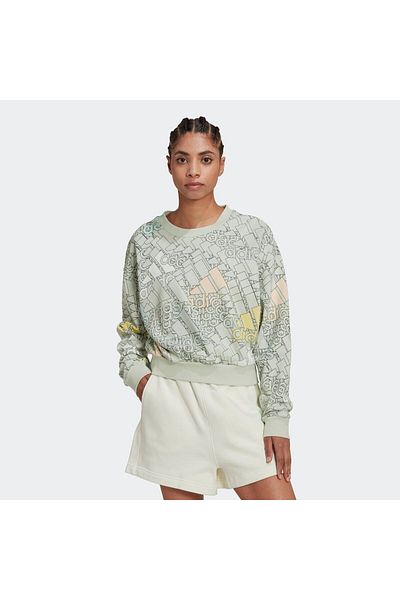 adidas ADIDAS women's sweatshirt W BLUV Q3 SWT G - HL4413