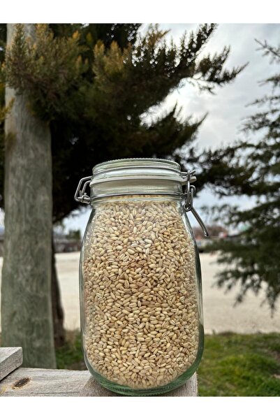 BATIAKDENİZ Aşurelik Buğday Natural 1 Kg, Keşkeklik Buğday , Bütün Yarma Buğd...