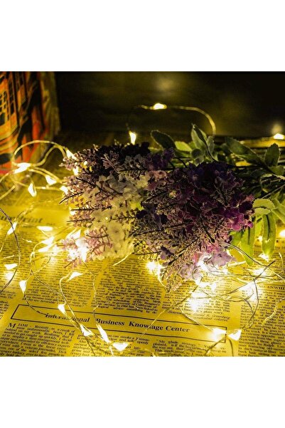 erorex Led String Lights 5M Outdoor Indoor Decorative Lights Wire Lights For Wedding Halloween Party Diy