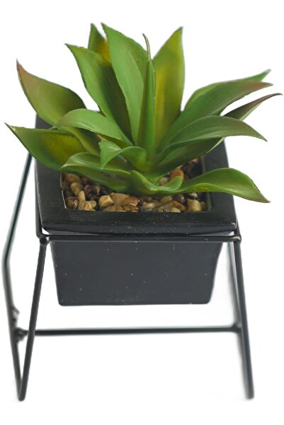 erorex Modern Small Artificial Succulent Jar With Black Stand Fake House Plant In Pot For Home And Office