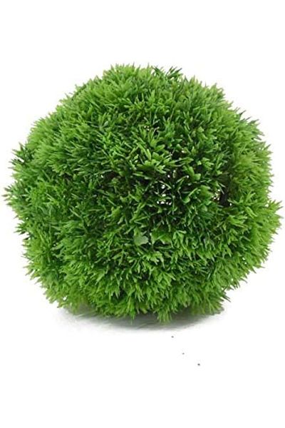 erorex Industrial Vegetable Field Medium Size