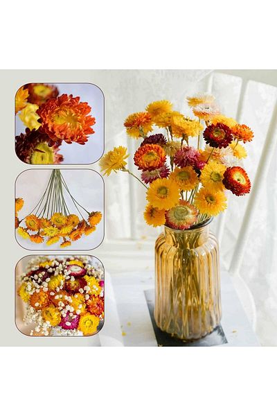 erorex Dried Flowers 36Pcs Bouquet Natural Daisy Multicolor Daisies Artificial Sunflowers Dry Flower
