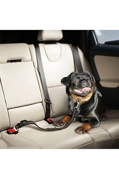 Home Dog Seat Belt for Car - Adjustable and Durable Pet Vehicle Leash