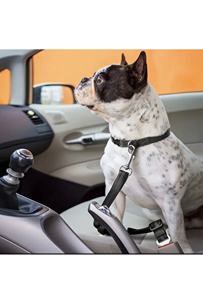 Home Araç İçi Köpek Emniyet Kemeri - Ayarlanabilir ve Dayanıklı Evcil Hayvan Araç Tasması