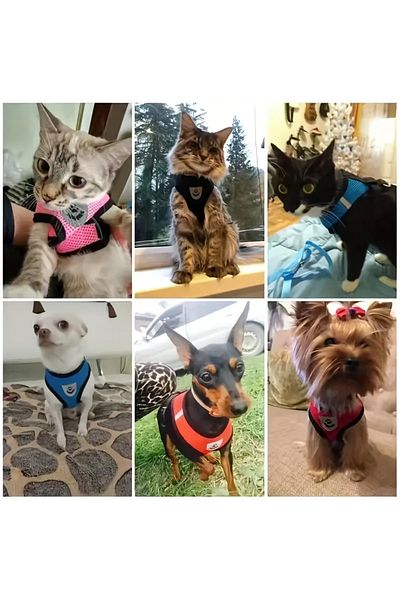 Lady Fify For Cat Dog Harness with Reflective and Breathable Chest - Strap Set