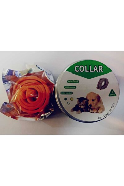 Collar طوق البرغوث، قطط كلب أسود طبيعي 100%