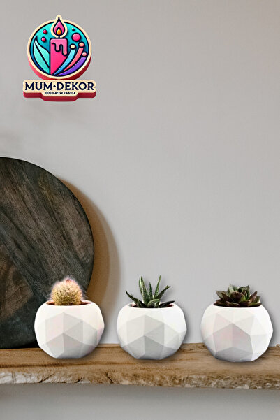 EMG DEKOR Üçlü Geometrik  Prizma Mini Skulent Saksı Seti