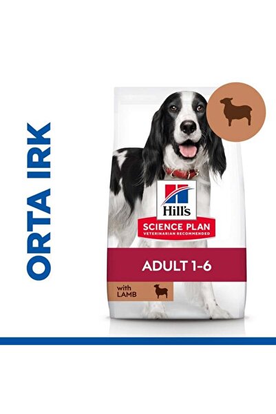 Hill's Hills Kuzu Etli Orta Irk Yetişkin Köpek Maması 2.5 Kg