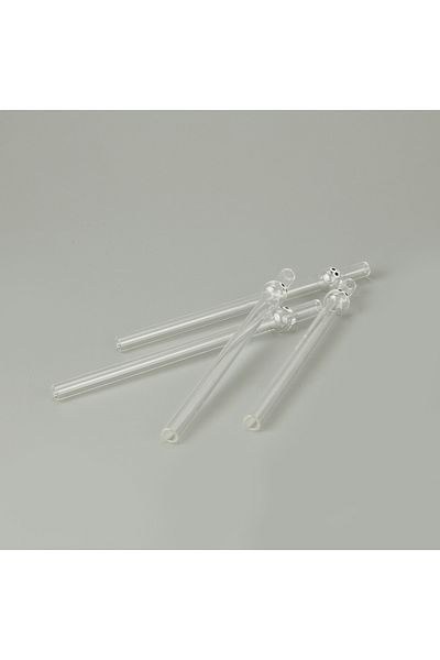 Evabella Thick Figured 4-Piece Glass Straws - Transparent