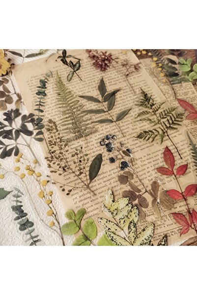 Choice3 D 40 قطعة ملصقات نباتات الورد PET الزهور والأوراق ملصقات تزيين سجل ال...