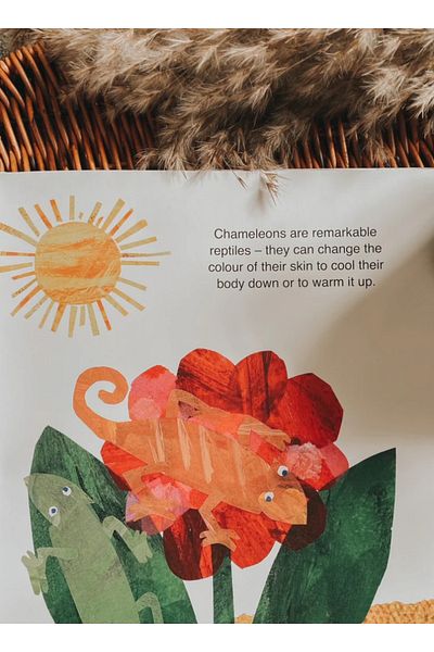 Kolektif Kitap Eric Carle's Book - Amazing Animals