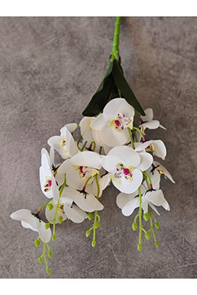 beyaz ve pembe orkide buketi