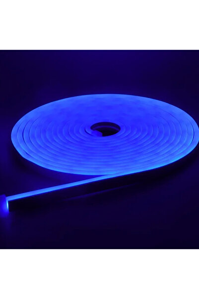 Ledarmy Neon LED şerit 5metre (Mavi) LED zincir bandı hortum esnek dekoratif ...