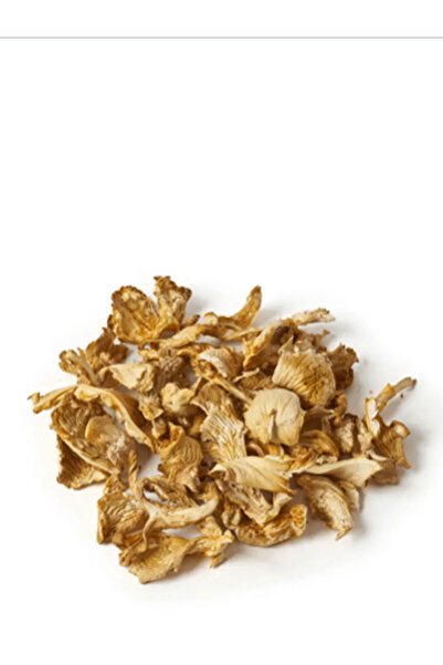 yöresel istiridye mantarı kurusu-500gr