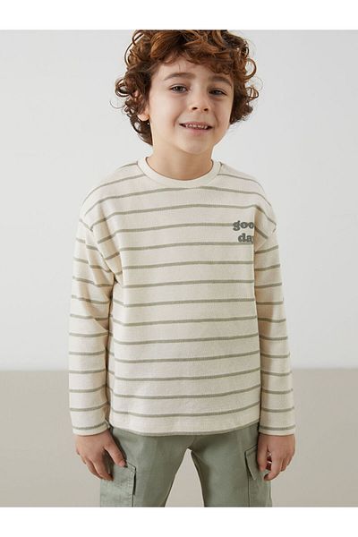 LC Waikiki Textured Fabric Striped Boy's T-Shirt