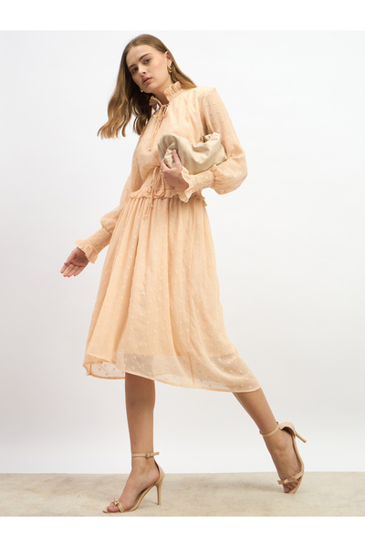 Styli Dobby Design Smocked Waist A-Line Midi Dress
