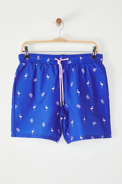 Trendyol Collection Blaue Standard-Badeshorts TMNSS21DS0021