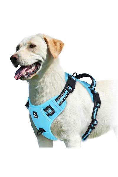 Choice S Sky Blue No Pull Dog Harness, Adjustable Soft Padded Pet Vest With Easy Control Handle