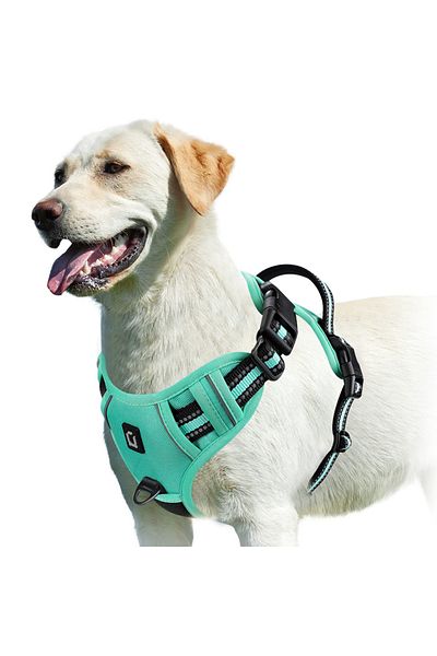 Choice M Green No Pull Dog Harness, Adjustable Soft Padded Pet Vest With Easy Control Handle