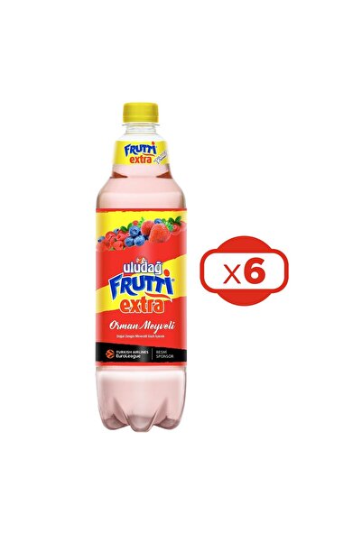Uludağ Frutti Extra Orman Meyveli 1 lt x 6 Adet