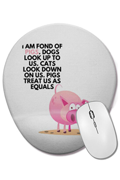 BASKI DÜNYASI Porci Câini Me plătesc porții. Câinii ne privesc cu înțelegere