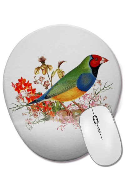 BASKI DÜNYASI Finch Gouldian cu cap roșu, care stă între flori de orhidee, mouse pad oval cu suport pentru încheietura mâinii