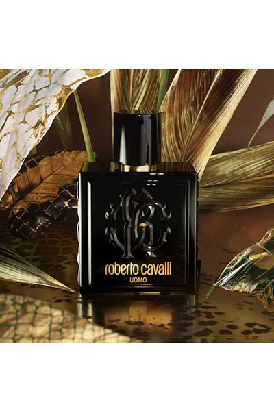 Roberto Cavalli Roberto Cavalli Uomo Eau de Toilette 100ml