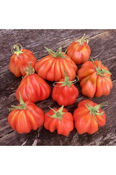 E-fidancim Kıvrımlı Etli Tlacolula Pink Pembe Domates Tohumu (15 tohum)