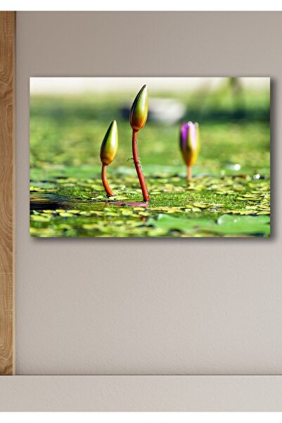 Hediyeler Kapında 50x70 Uyanış Kanvas Duvar Tablo