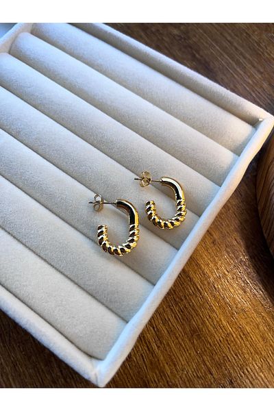 Miltonia Vintage Hook Steel Earrings