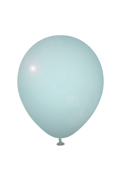 BALON HOME Storm Blue Latex Balloon Pack of 20