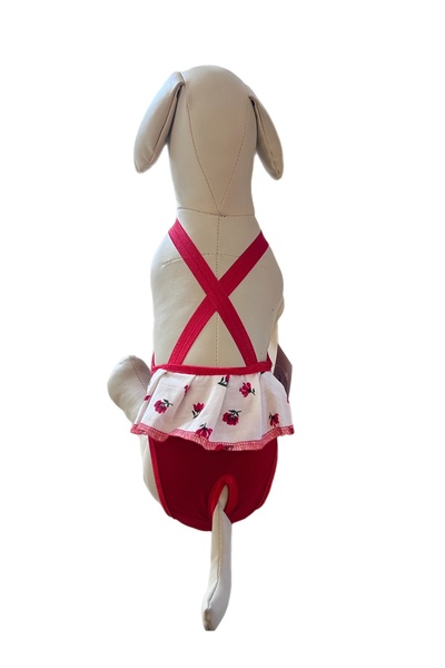 uniqpaws Pet Köpek Hijyen Külodu- Özel Gün Çamaşırı- Regl Külodu- Köpek Iç Ça...