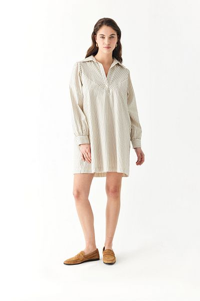 Mudo Mini Dress with Shirt Collar Stripes