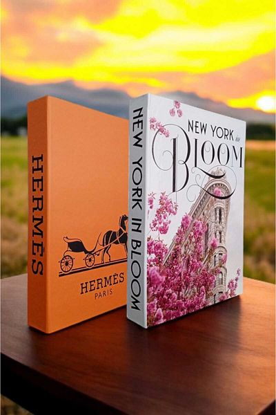 BayCazip Decorative Book Look Box Set of 2 Decorative Book Looking Box